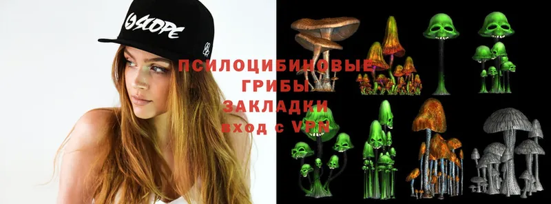 Галлюциногенные грибы MAGIC MUSHROOMS Губаха